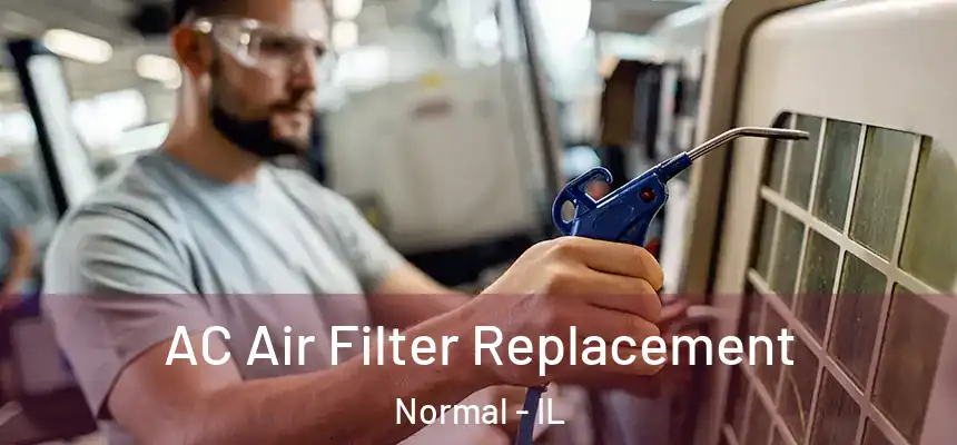  AC Air Filter Replacement Normal - IL