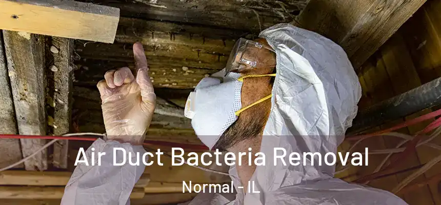  Air Duct Bacteria Removal Normal - IL