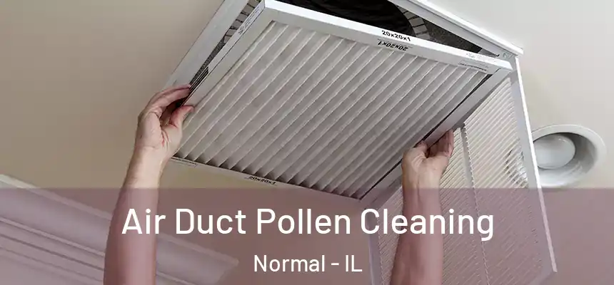  Air Duct Pollen Cleaning Normal - IL