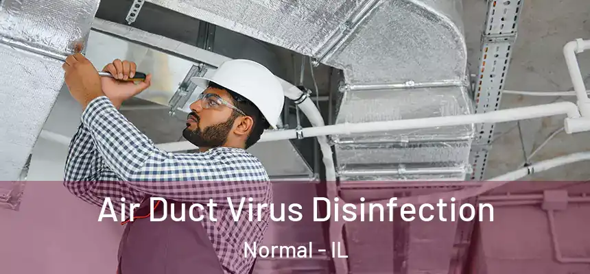  Air Duct Virus Disinfection Normal - IL