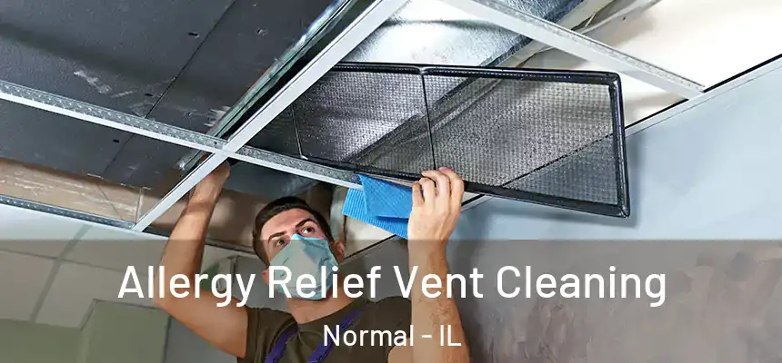  Allergy Relief Vent Cleaning Normal - IL