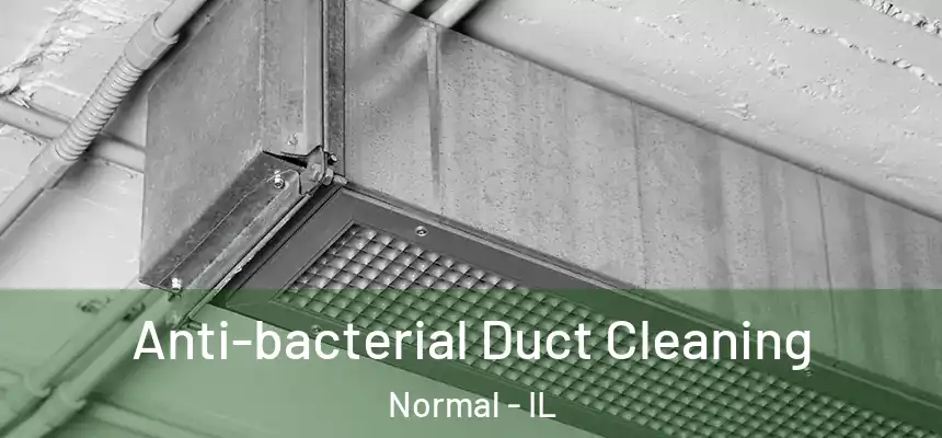  Anti-bacterial Duct Cleaning Normal - IL