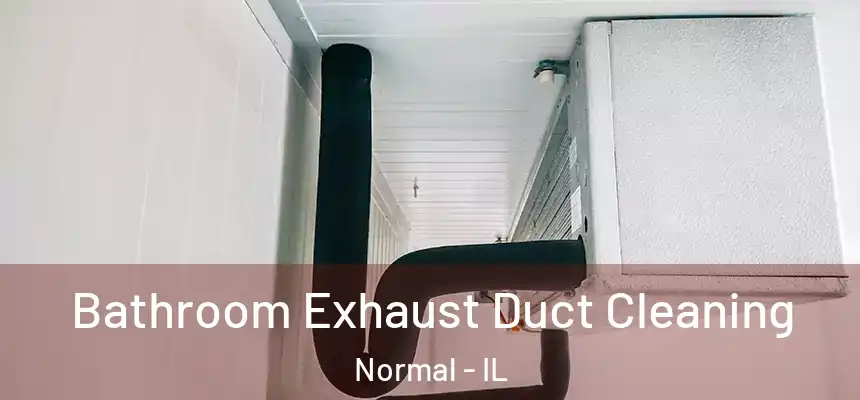  Bathroom Exhaust Duct Cleaning Normal - IL