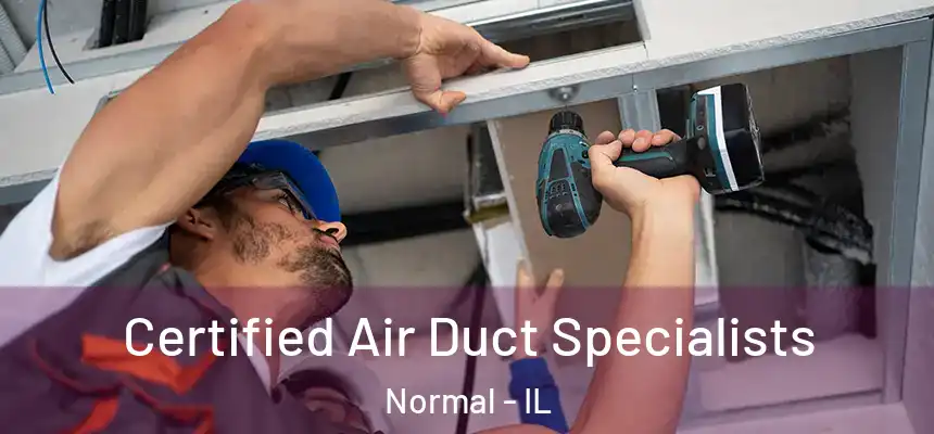  Certified Air Duct Specialists Normal - IL