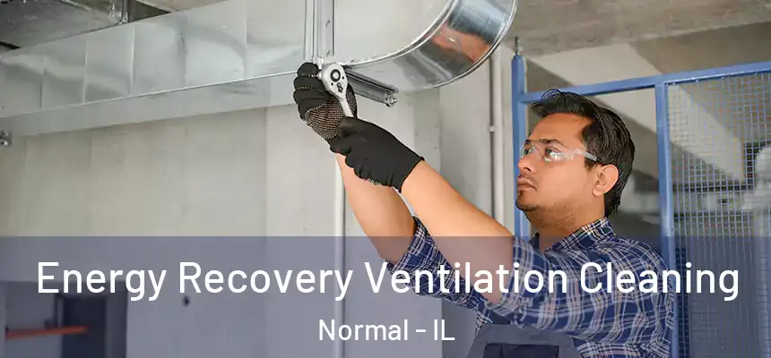 Energy Recovery Ventilation Cleaning Normal - IL