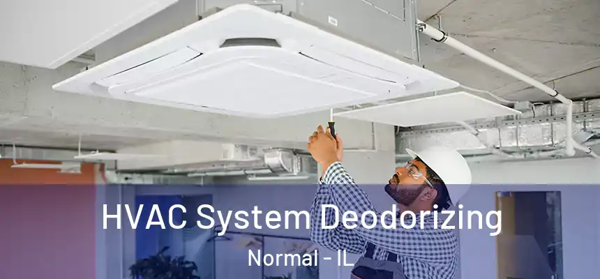  HVAC System Deodorizing Normal - IL