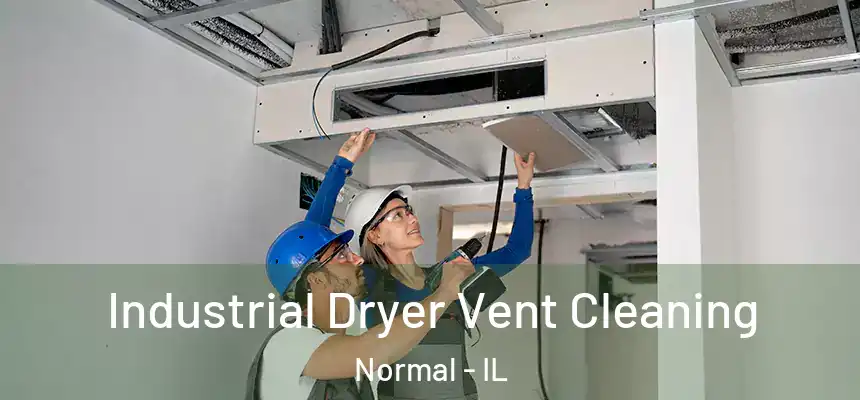  Industrial Dryer Vent Cleaning Normal - IL