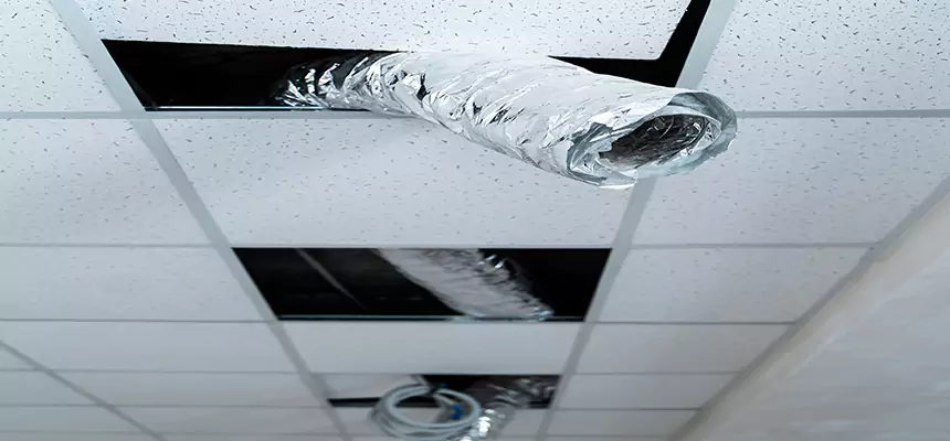 Our Air Duct Pet Hair Removal Services in Normal, IL