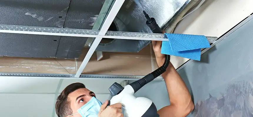 Our Air Duct Rodent Removal Services in Normal, IL