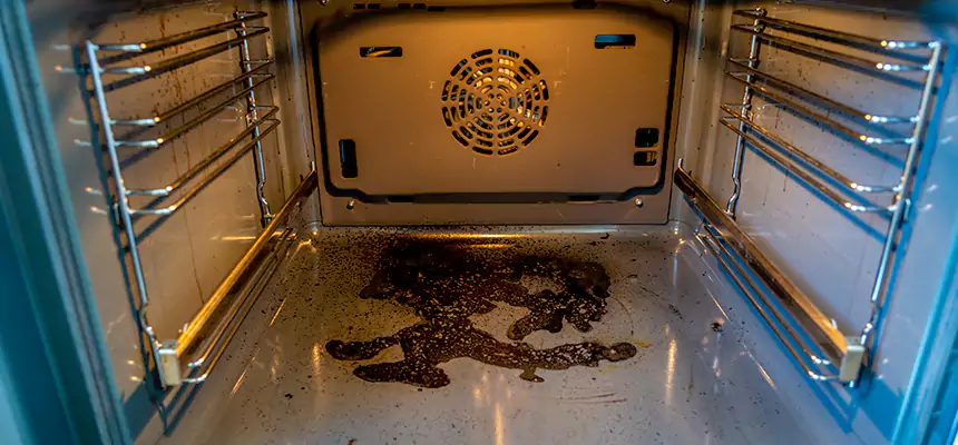 Our Dryer Vent Mold Cleaning Services in Normal, IL