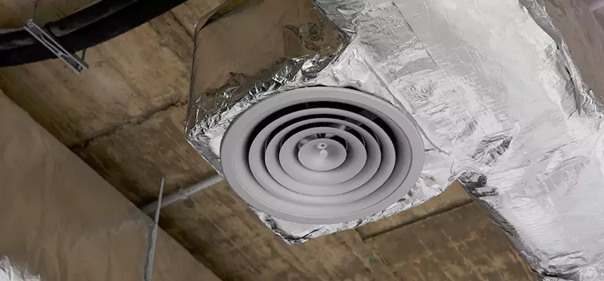 Our Excess Lint Removal from Dryer Ducts Services in Normal, IL