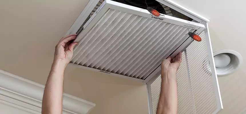 Our Insect Removal from Air Ducts Services in Normal, IL