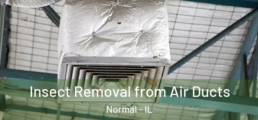  Insect Removal from Air Ducts Normal - IL
