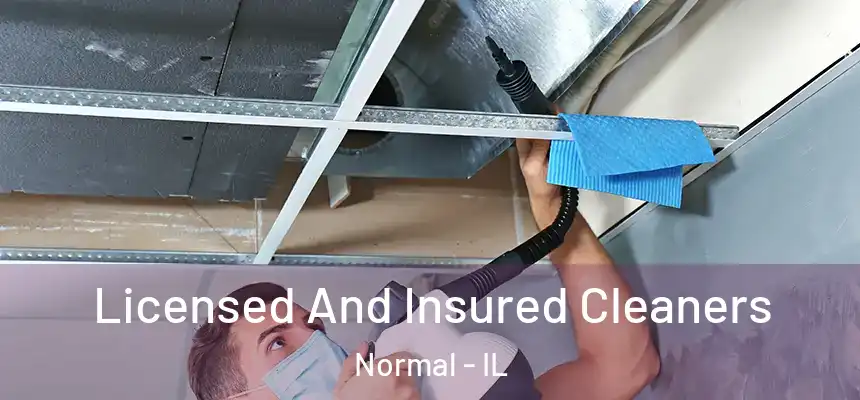  Licensed And Insured Cleaners Normal - IL