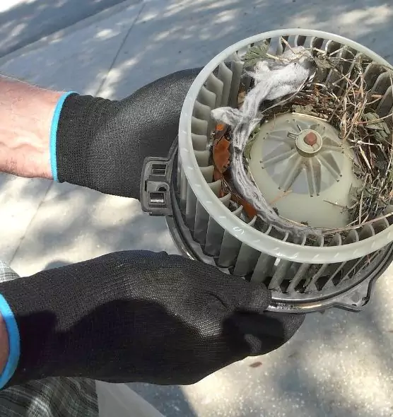 About Air Duct Mice Removal in Normal, IL