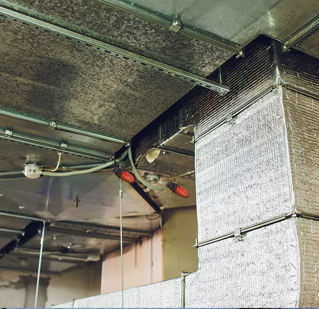 Why Homeowners & Businesses Trust Us in Normal, IL?