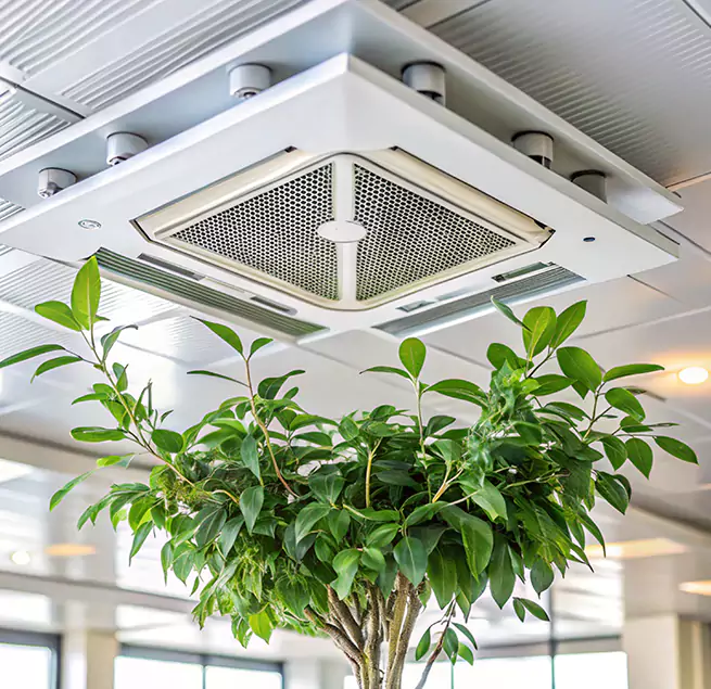 Why Homeowners & Businesses Trust Us in Normal, IL