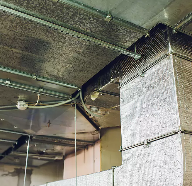 Why Homeowners & Businesses Trust Us in Normal, IL?