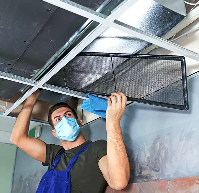 Why Homeowners Businesses Trust Us in Normal, IL